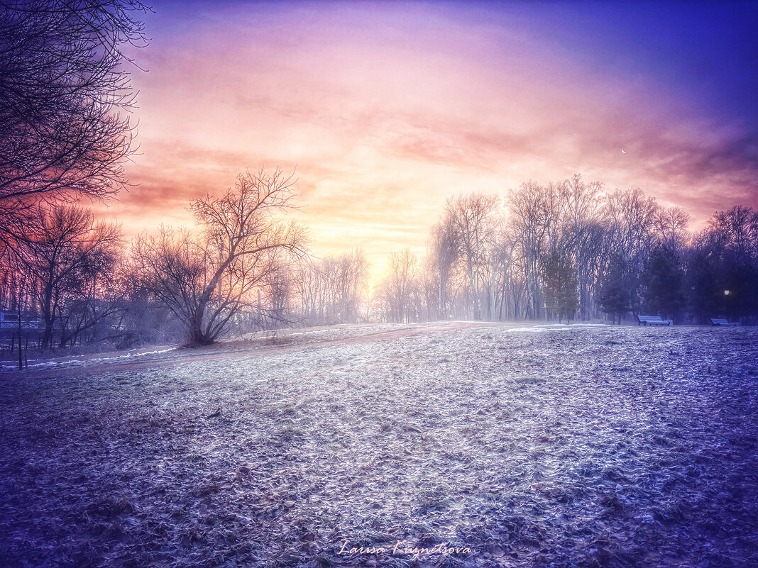 Рассвет - Larisa Kuznetsova