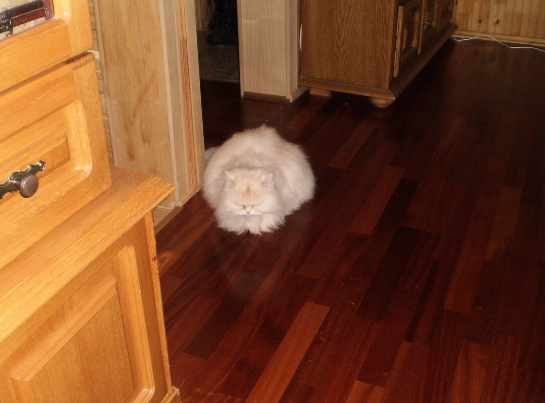 Мой дом. - Венера Чуйкова Мой дом. - Венера Чуйкова