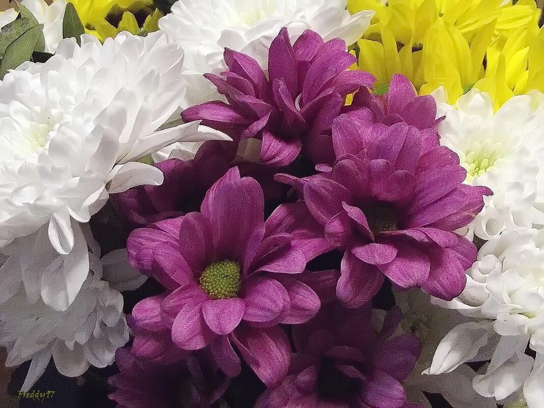 С Днём защитника Отечества! - Freddy 97