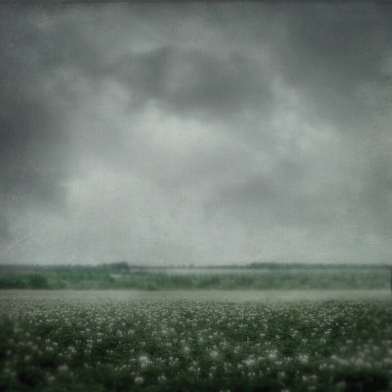 ... - Дмитрий Сажин