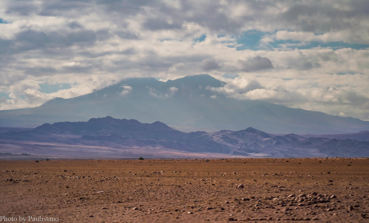 В каменной пустыне... - Владимир Жданов В каменной пустыне... - Владимир Жданов
