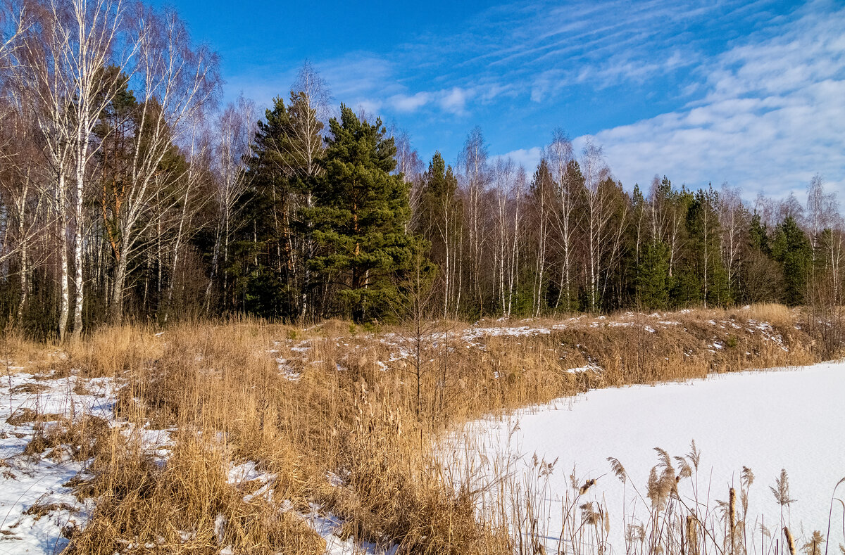 Подмосковная зима.2 - Андрей Дворников