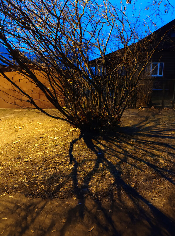 Тени - Dar(k) Life