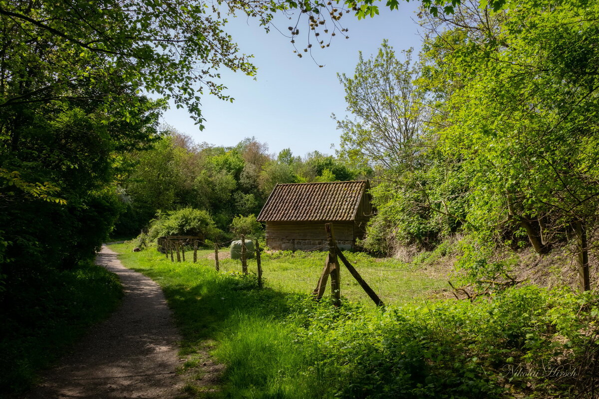 *** - Николай Гирш *** - Николай Гирш