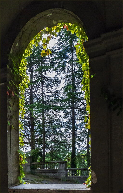 Торжество природы - Наталья Rosenwasser