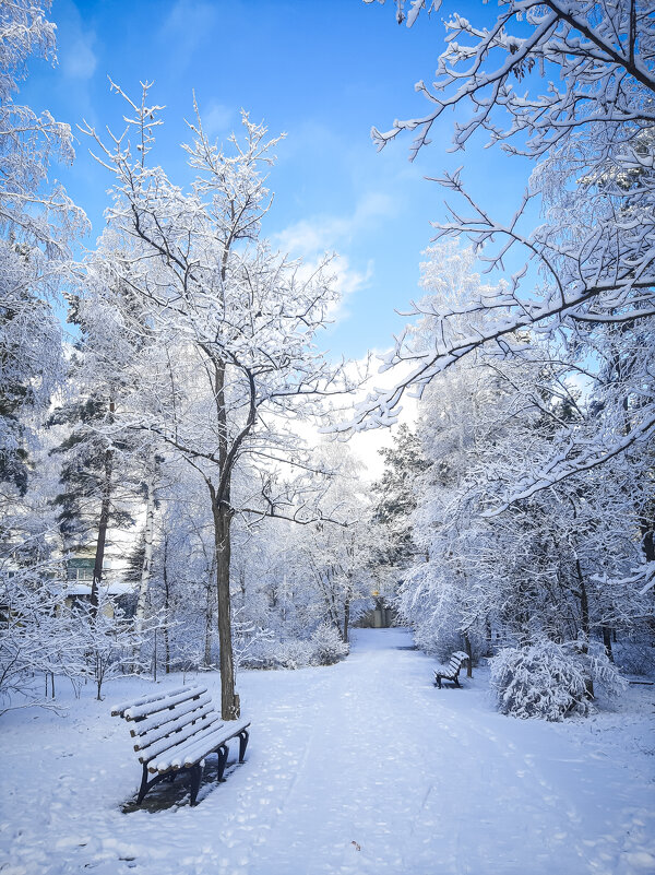 Красавица зима! - Юлия Закопайло Красавица зима! - Юлия Закопайло