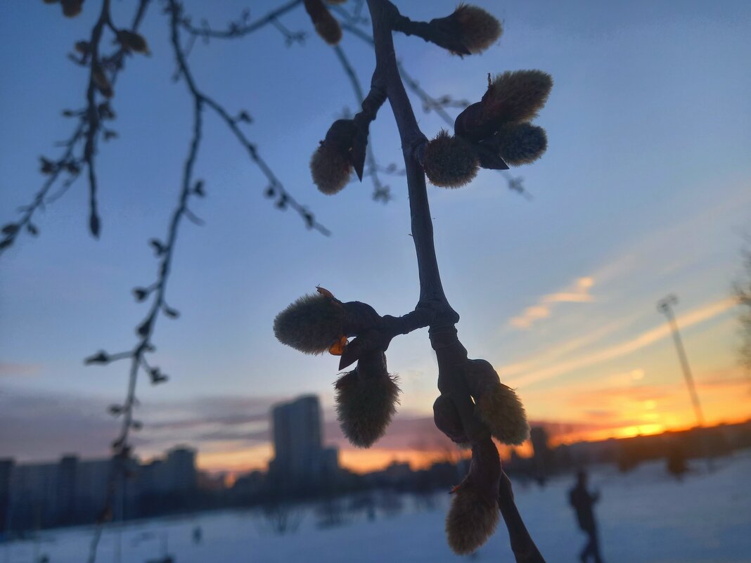 Закат - Сапсан 