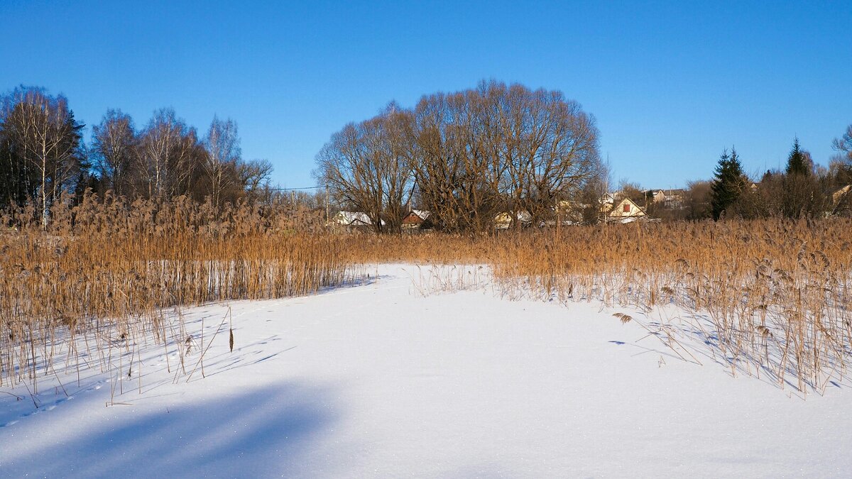 Зима в конце февраля. - Милешкин Владимир Алексеевич Зима в конце февраля. - Милешкин Владимир Алексеевич