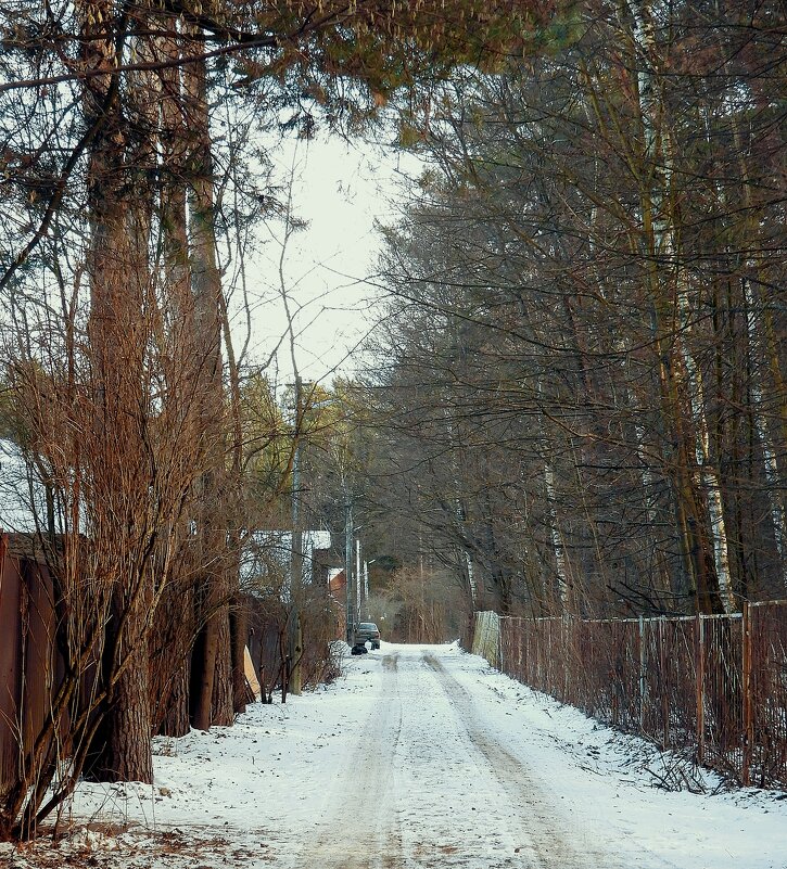 Загорянка. Зима - Леонид leo