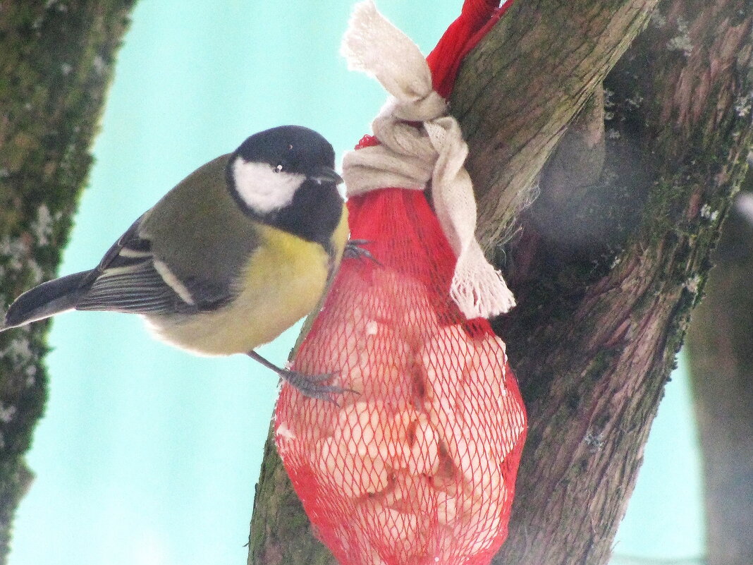 Так вкусно - Людмила Смородинская Так вкусно - Людмила Смородинская