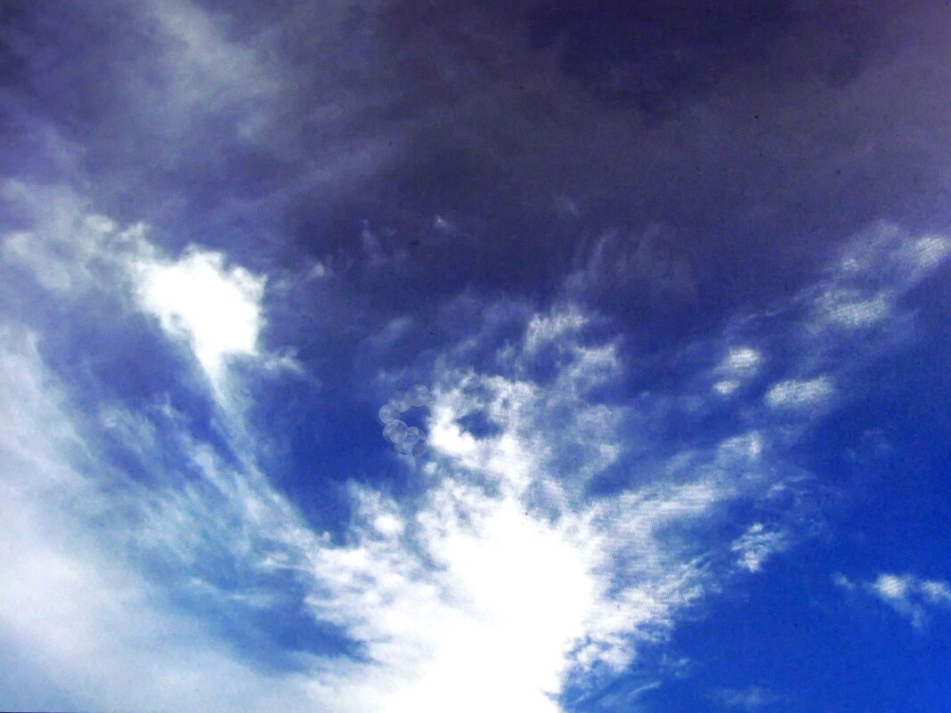 Небесное Чудо-юдо - Людмила Смородинская Небесное Чудо-юдо - Людмила Смородинская