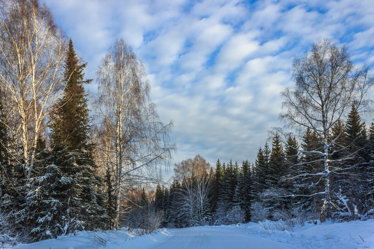 Зимняя дорога - Сергей Борисович 