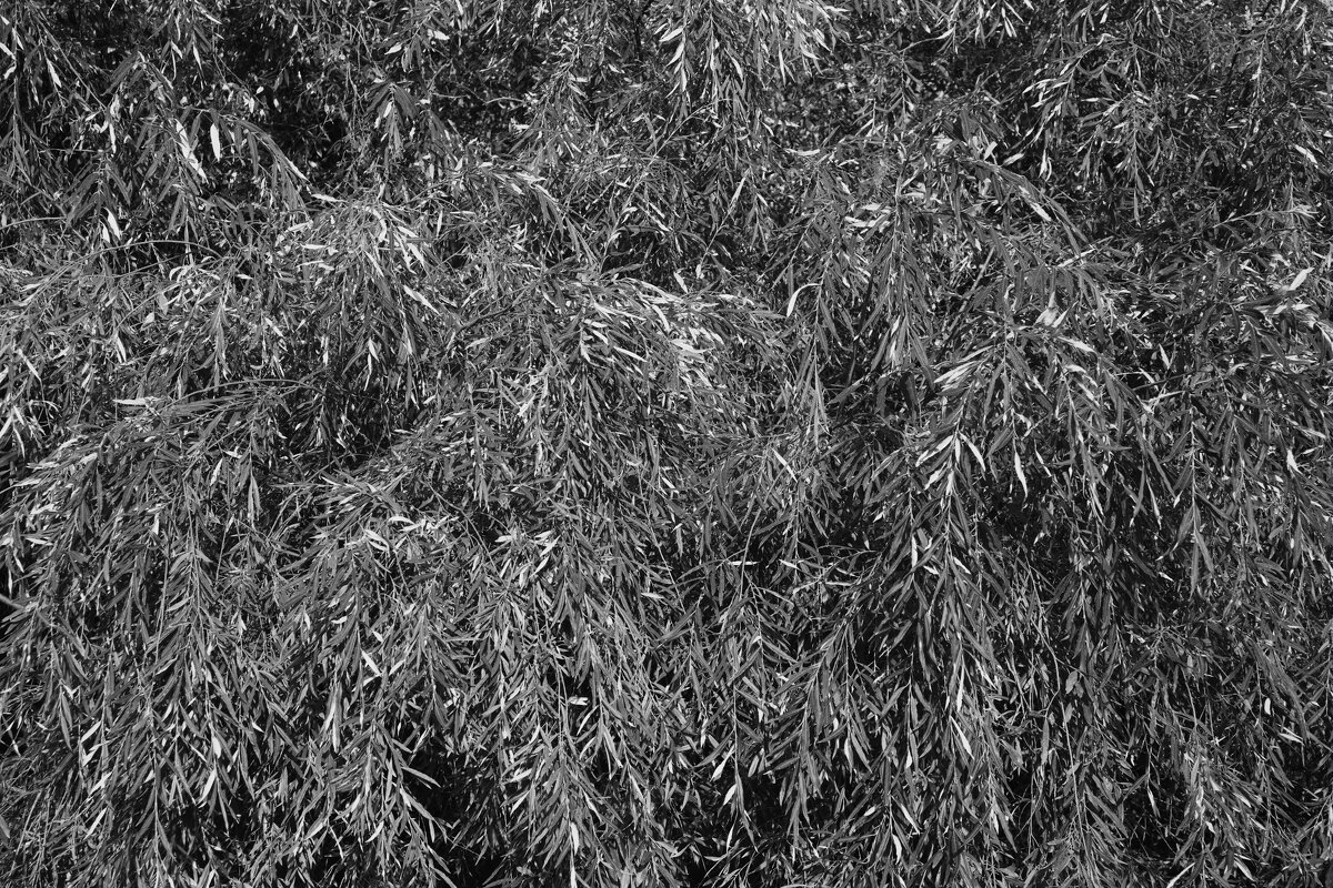 Название отсутствует - Денис Безногов