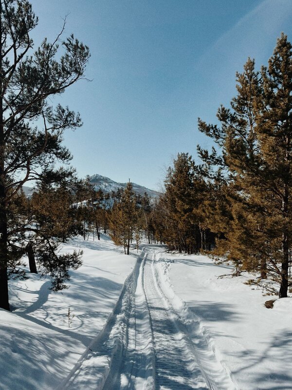 Зимний путь. - Андрей Хлопонин Зимний путь. - Андрей Хлопонин