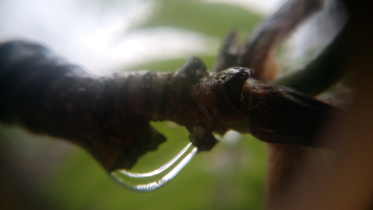 ,,, - Сергей Тимоновский