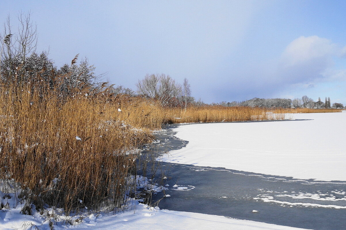 В окрестностях Калининграда - Рита Симонова