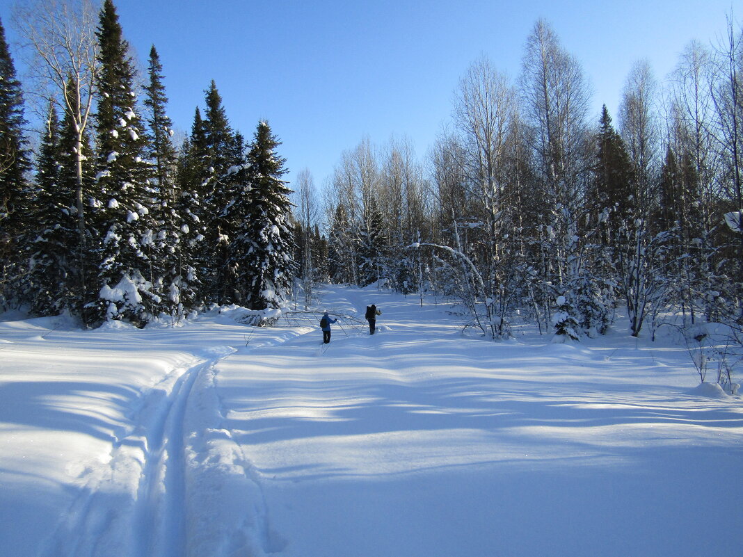 * - Galaelina *** * - Galaelina ***