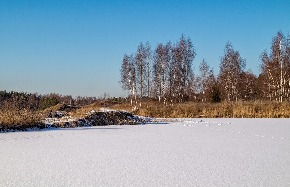 Подмосковная зима.3 - Андрей Дворников