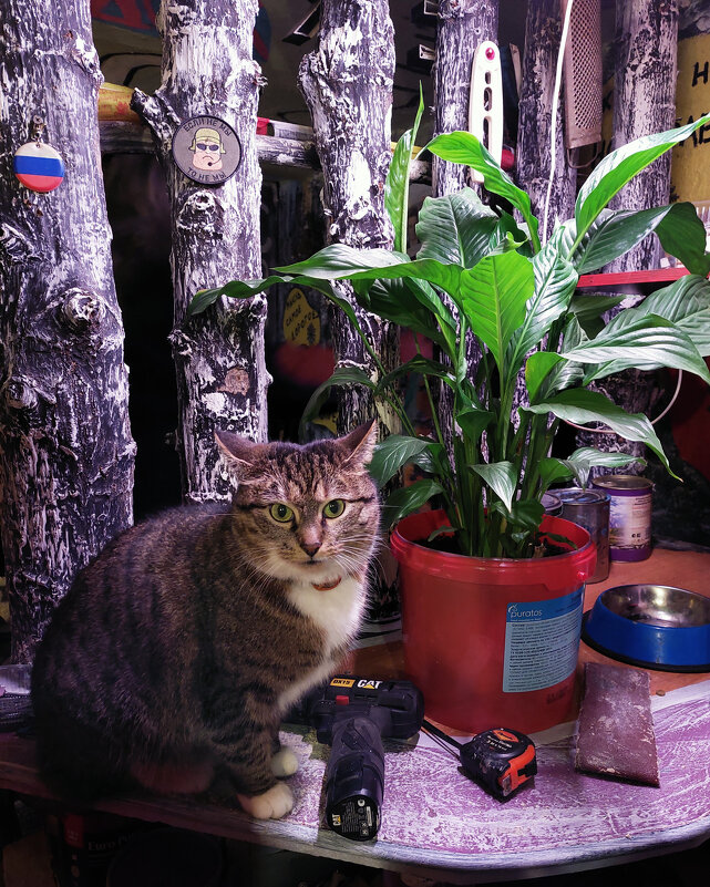 Милка - Ирина Румянцева Милка - Ирина Румянцева