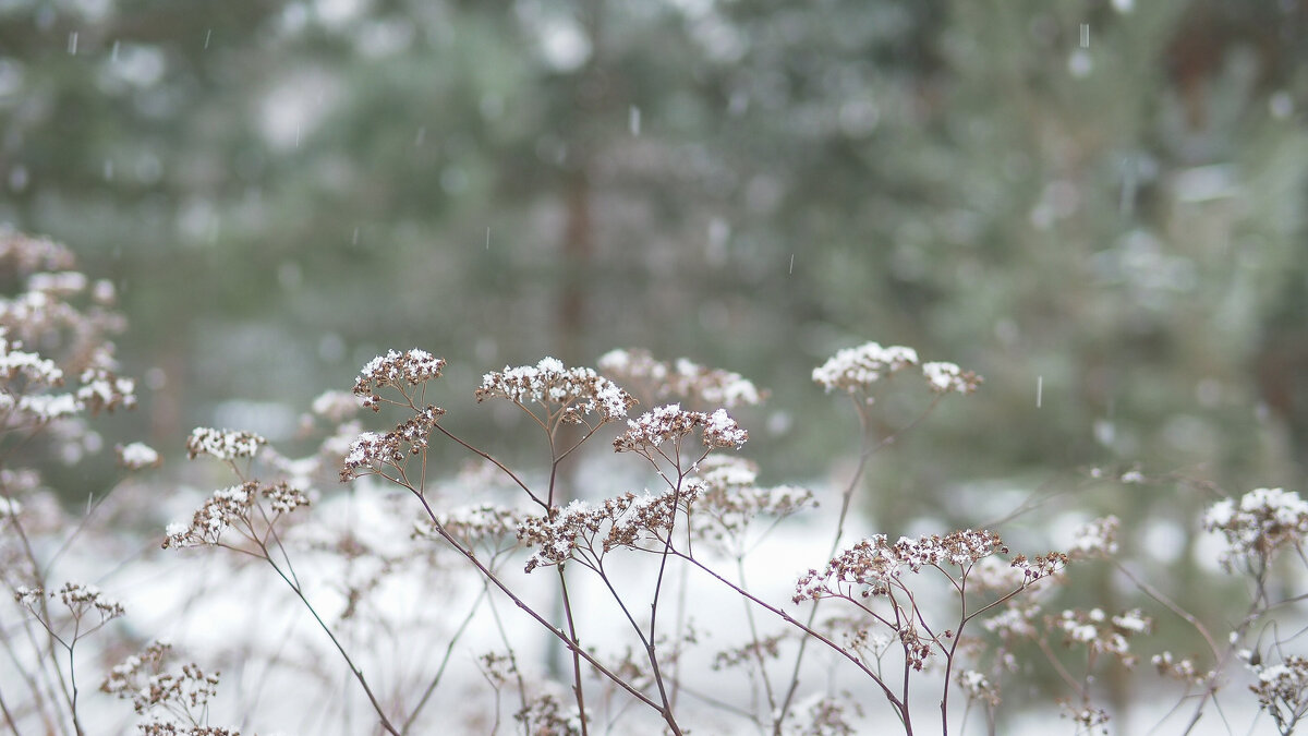 ***** - юрий поляков