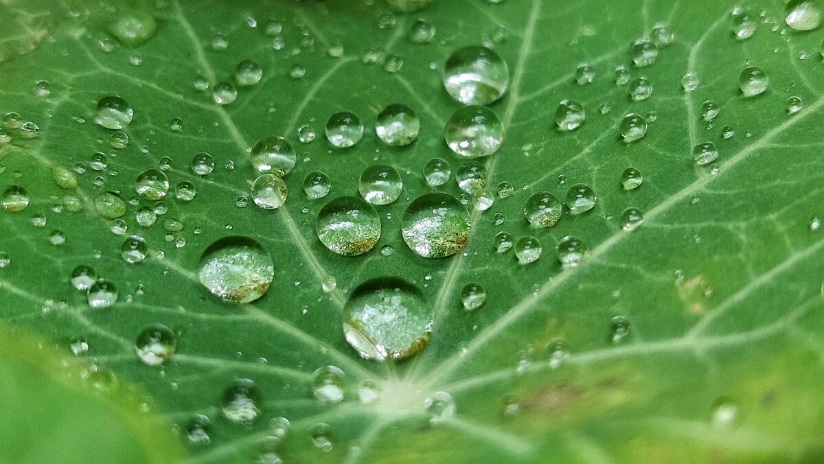 * - Оксана Н.