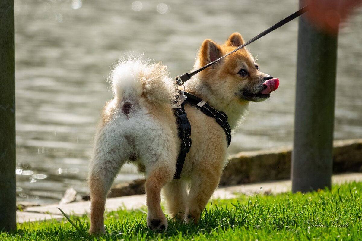 Попить-бы... - Николай Гирш Попить-бы... - Николай Гирш