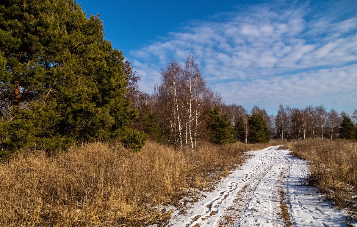 Подмосковная зима.4 - Андрей Дворников Подмосковная зима.4 - Андрей Дворников