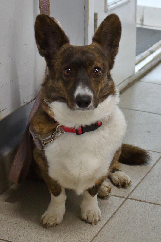 ... - Александр Кольцов