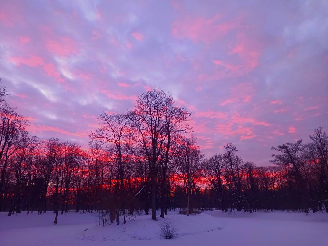 Закат - Сапсан 