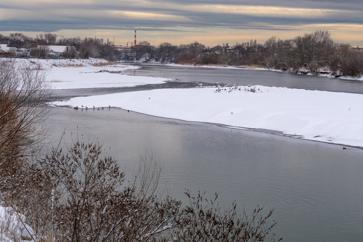 Прогулка в зимний день - Игорь Сикорский Прогулка в зимний день - Игорь Сикорский