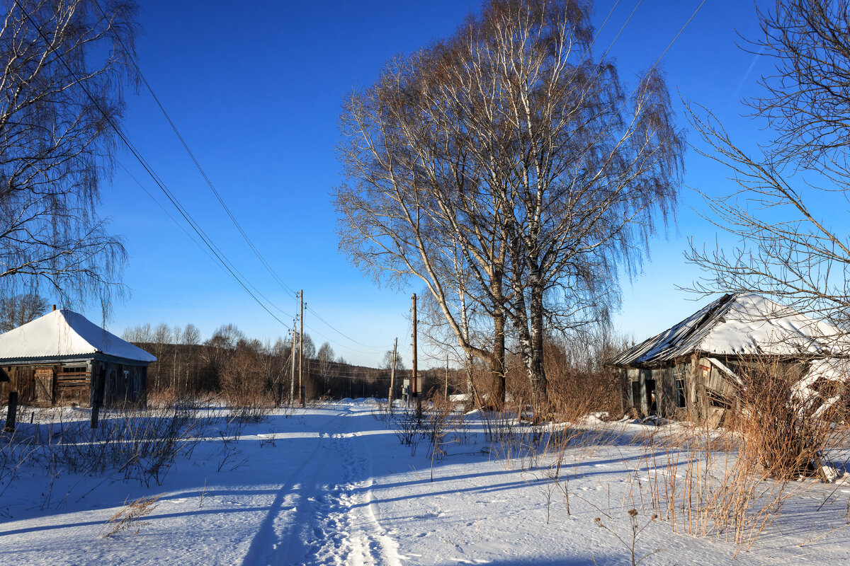 Улица, на которой никто не живёт - Сергей Борисович Улица, на которой никто не живёт - Сергей Борисович