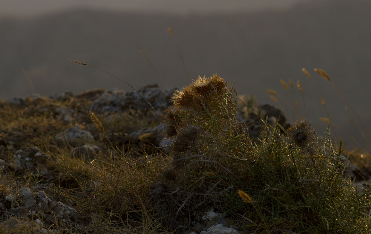 Вечер в горах - Олег Денисов