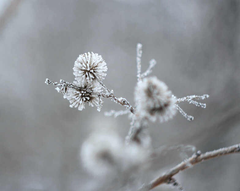 *** - Лера *** - Лера