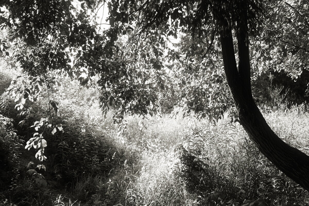 Название отсутствует - Денис Безногов