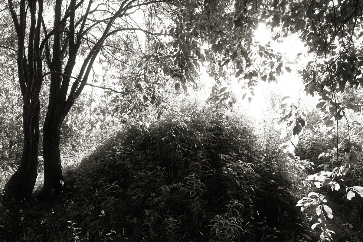 Название отсутствует - Денис Безногов Название отсутствует - Денис Безногов