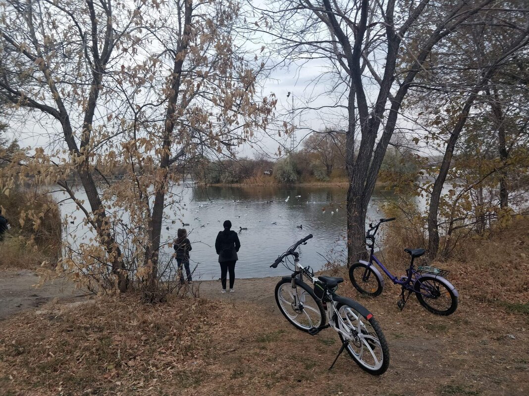 Осенняя прогулка. - Андрей Хлопонин