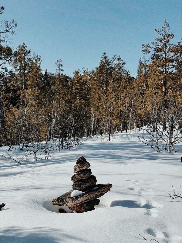 Солнечный февраль - Георгиевич Солнечный февраль - Георгиевич