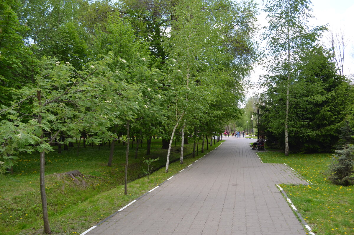 ,,, - Сергей Тимоновский