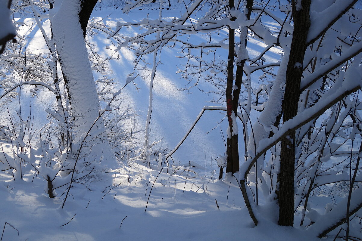 Февраль - Рита Симонова Февраль - Рита Симонова