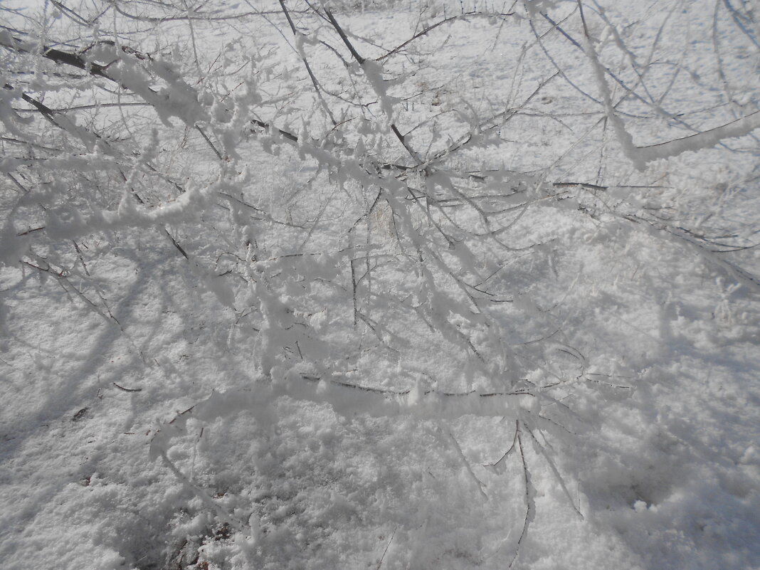 февраль - Елена Шаламова