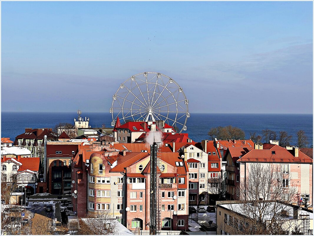 Вид на Зеленоградск со смотровой площадки Мурариума. - Валерия Комова