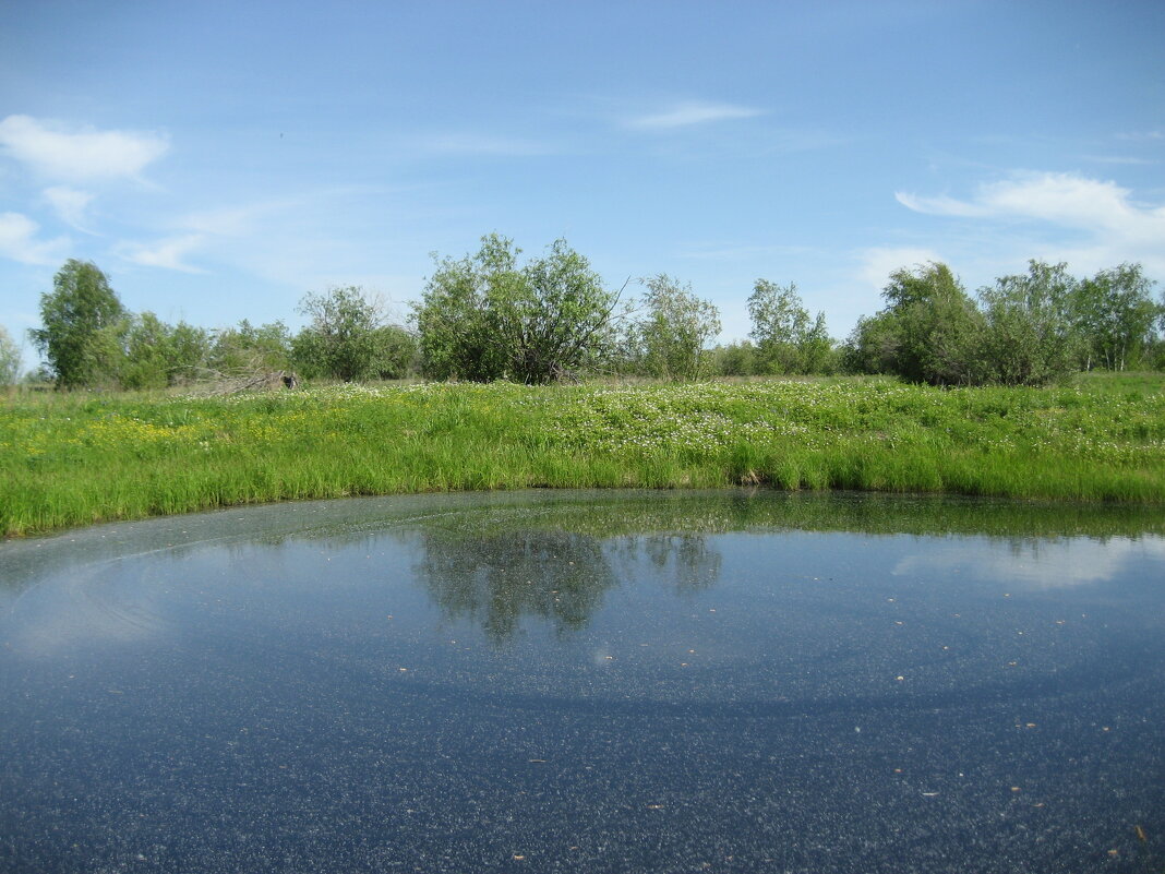 Лето - Anna Ivanova Лето - Anna Ivanova