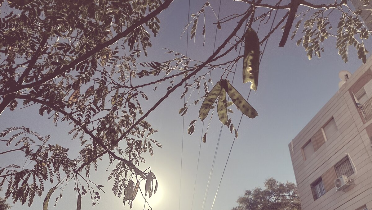 12  КЛОС (610) - CLOSE WAYS ALL