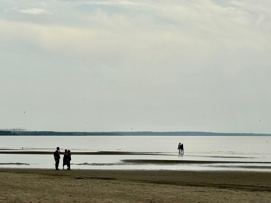 отлив - Ирина Картина