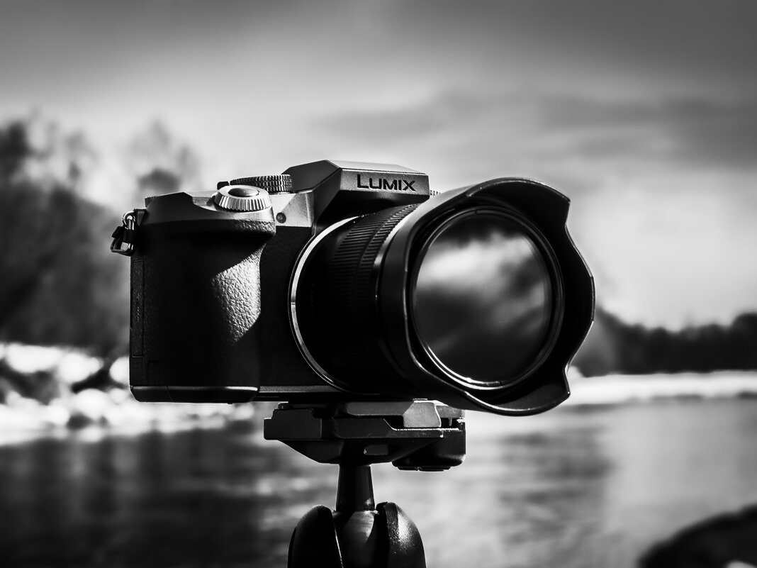 ... - Жора Житников