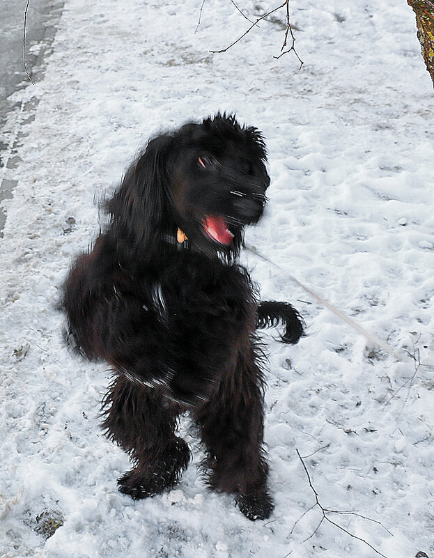 Тучка танцует - Светлана 