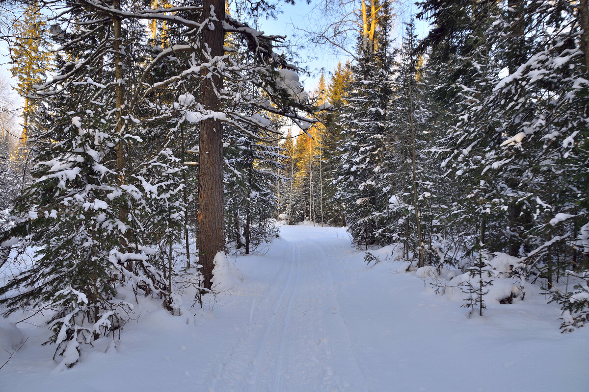 - - Владимир Мигонькин