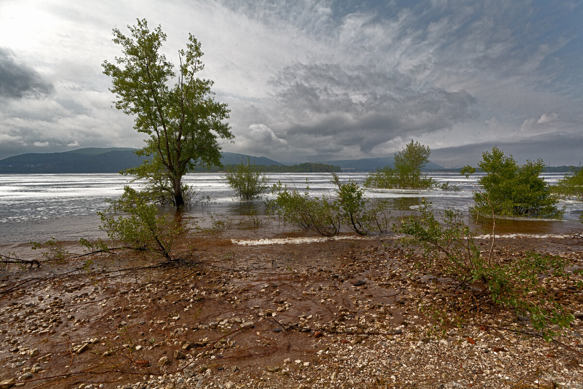 * - Александр Лисовский * - Александр Лисовский