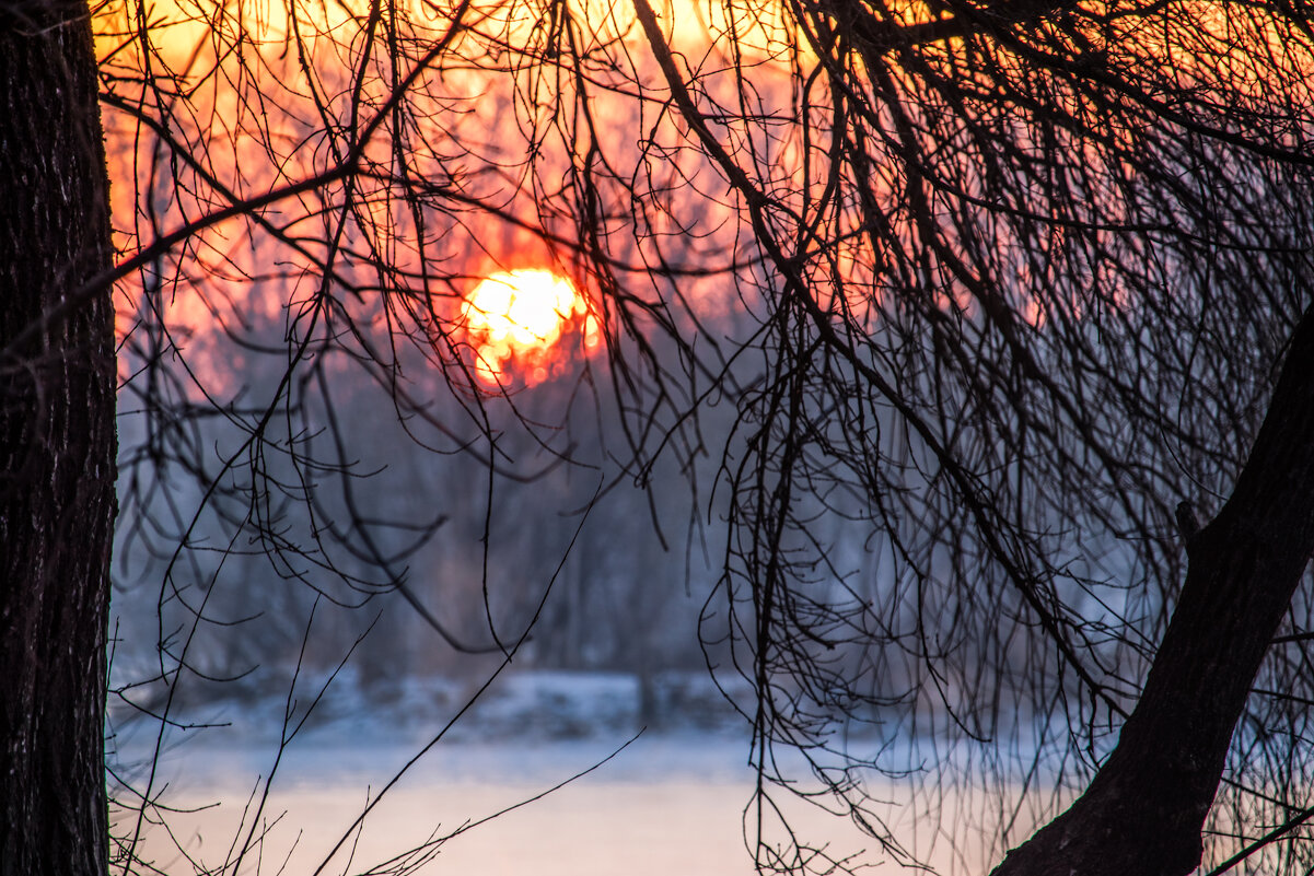Рассвет - Sergei Vikulov