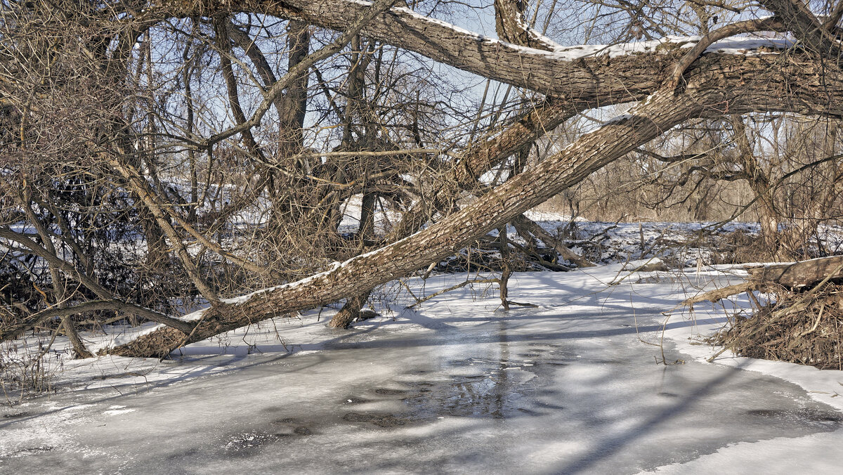 Разкоряжился - sorovey Sol Разкоряжился - sorovey Sol